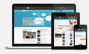 Mangusta - TheBlogTV