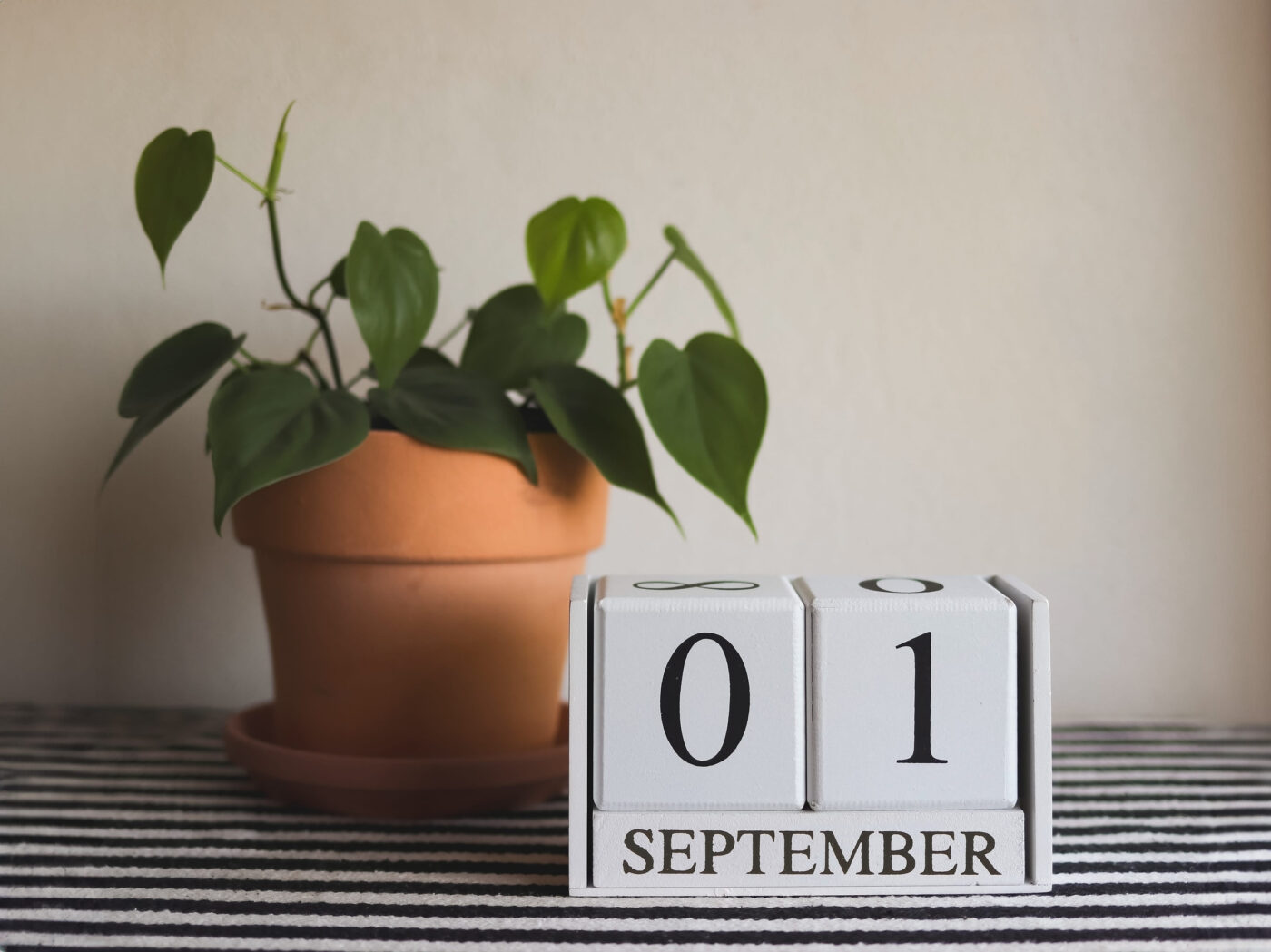 Estrategias de marketing para el mes de septiembre&nbsp;El Blog de Germán Piñeiro